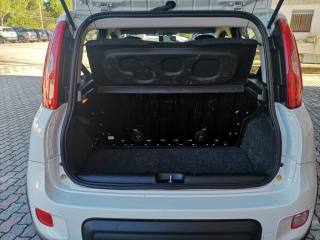 FIAT Panda usata, con Servosterzo