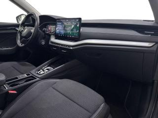 SKODA Octavia usata, con Cruise Control