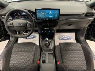 FORD Focus usata, con Servosterzo