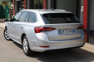 SKODA Octavia usata 109