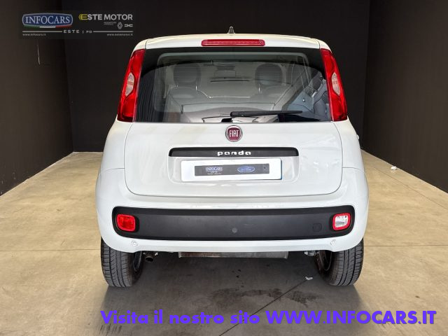 FIAT Panda usata, con Volante multifunzione