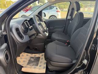 FIAT Panda usata, con Airbag testa