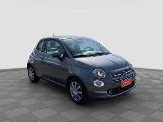 FIAT 500 usata 6