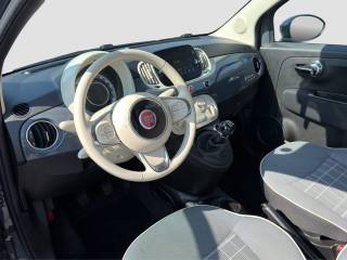 FIAT 500 usata 8