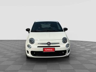 FIAT 500 usata 6