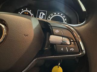 SKODA Kamiq usata, con Controllo vocale