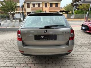 SKODA Octavia usata 5