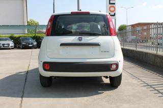 FIAT Panda usata, con Antifurto