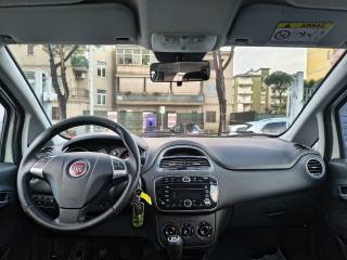 FIAT Punto usata, con Chiusura centralizzata