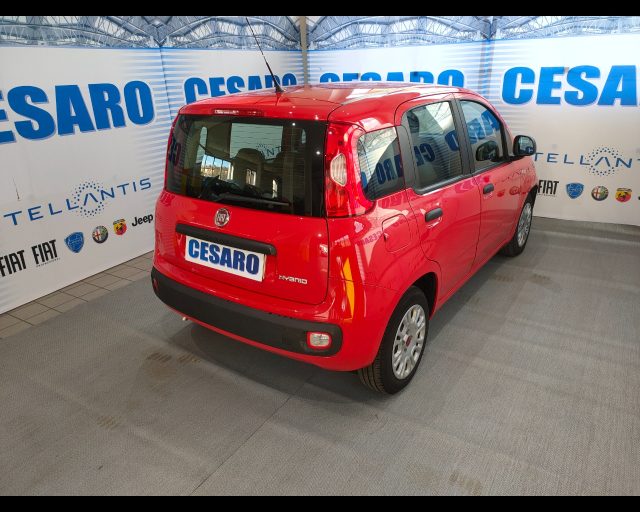 FIAT New Panda usata, con Airbag Passeggero