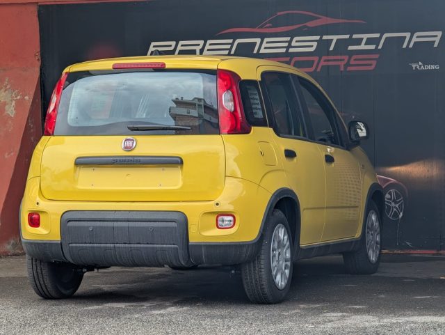 FIAT Panda usata, con Antifurto