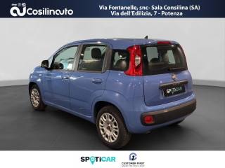 FIAT Panda usata, con Airbag laterali