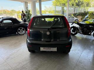 FIAT Punto usata 8