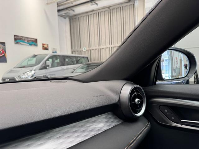 ALFA ROMEO Tonale usata, con Climatizzatore