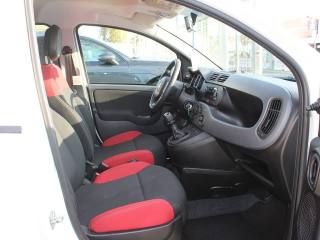 FIAT Panda usata, con Fendinebbia