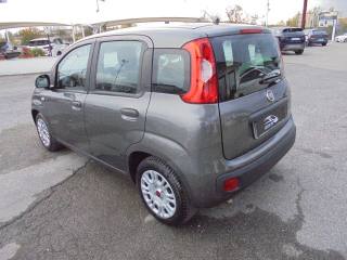 FIAT Panda usata, con Climatizzatore