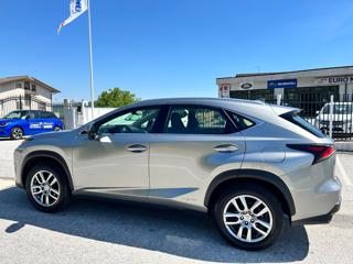 LEXUS NX 300 usata, con Airbag laterali