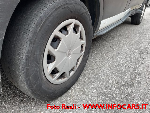 FORD Transit usata, con Bracciolo