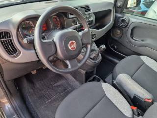 FIAT Panda usata, con Immobilizzatore elettronico