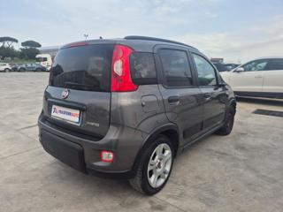 FIAT Panda usata, con Antifurto