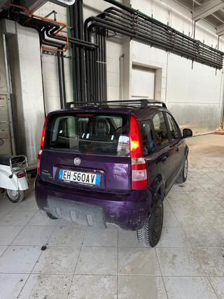 FIAT Panda usata 18