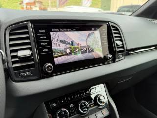 SKODA Karoq usata, con Cronologia tagliandi