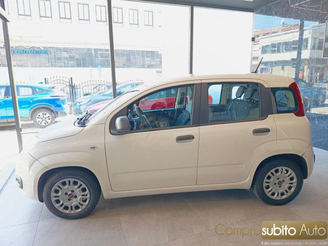 FIAT Panda usata, con Chiusura centralizzata