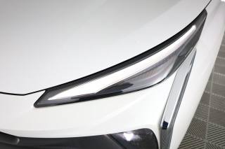 FORTHING Friday HEV usata 14