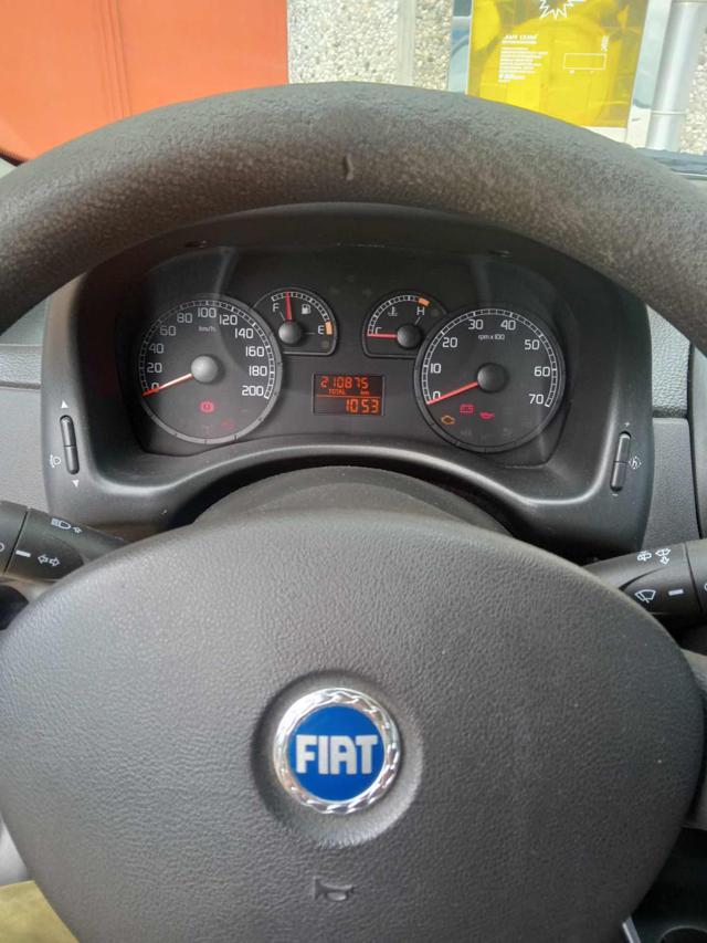 FIAT Punto usata 4