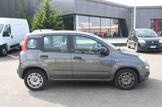 FIAT Panda usata, con Alzacristalli elettrici