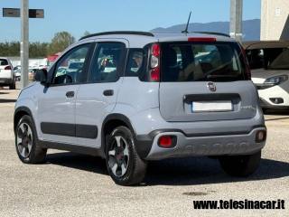 FIAT Panda Cross usata, con Climatizzatore
