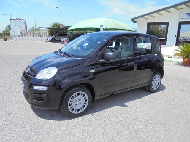 FIAT Panda usata, con Climatizzatore