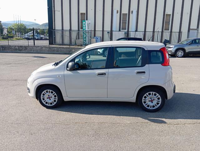 FIAT Panda usata 17