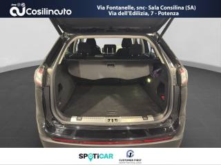 FORD Edge usata, con Servosterzo
