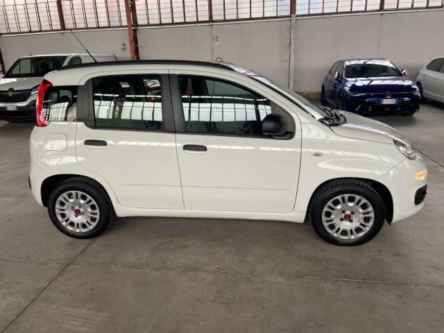 FIAT Panda usata 3