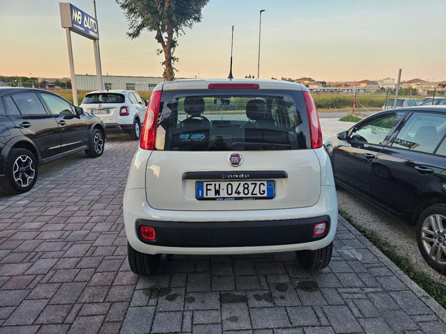 FIAT Panda usata, con Alzacristalli elettrici