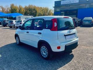 FIAT Panda usata, con Airbag Passeggero