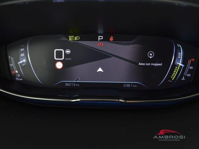 PEUGEOT 3008 usata 12