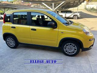 FIAT Panda usata, con Airbag