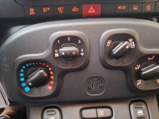FIAT Panda Cross usata, con ESP