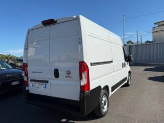 FIAT Ducato usata 3