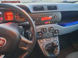 FIAT Panda usata, con Alzacristalli elettrici