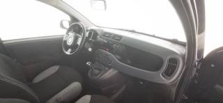 FIAT Panda usata 47