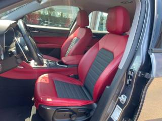 ALFA ROMEO Stelvio usata, con Cruise Control
