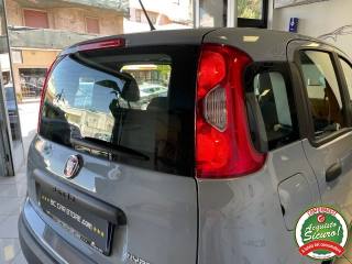 FIAT Panda usata 21