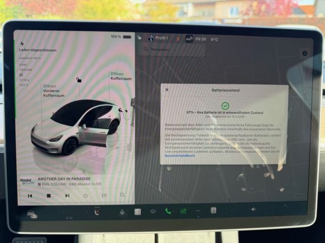 TESLA Model Y usata, con Controllo trazione