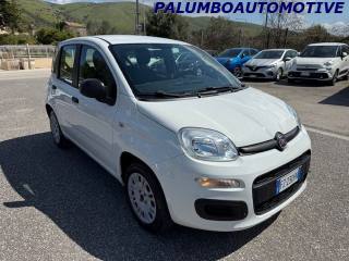 FIAT Panda usata, con Airbag