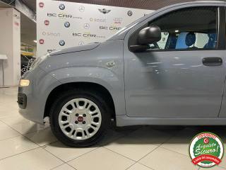 FIAT Panda usata 17