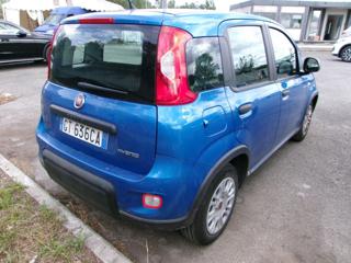 FIAT Panda usata, con Airbag