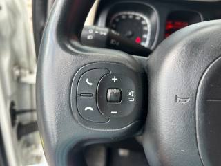 FIAT Panda usata, con ESP